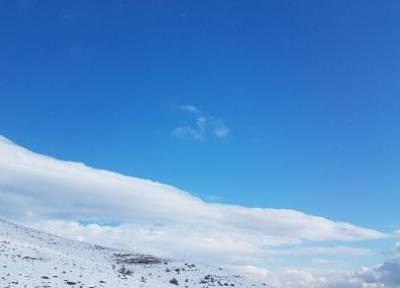 سنکگ برفی +تصاویر