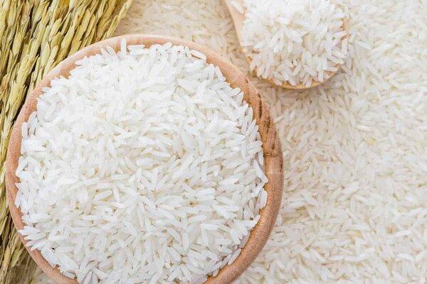احتمال افزایش قیمت برنج در صورت عدم تخصیص ارز وارداتی