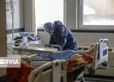 خبرنگاران 226 بیمار جدید مبتلا به کووید 19 در استان مرکزی شناسایی شد