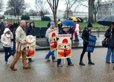 تجمع بومی های آمریکا در مقابل کاخ سفید در اعتراض به احداث خط لوله نفت کانادا، آمریکا