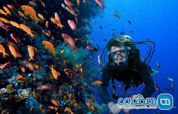 آشنایی با شماری از برترین تفریحات آبی در جنوب ایران